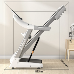 Pro Fit Treadmill - TS2D