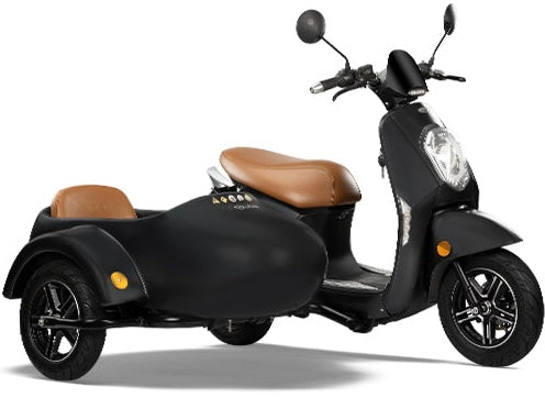 Glide Electric Scooter with Sidecar - G1