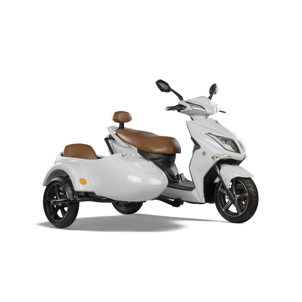 Electric Scooter Glide with Sidecar-G2