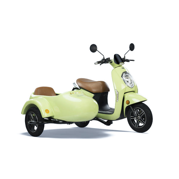 Electric Scooter Glide with Sidecar - G1