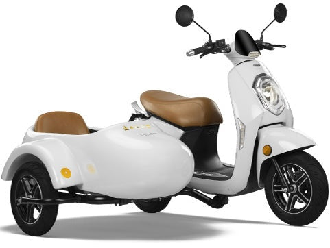 Electric Scooter Glide with Sidecar - G1