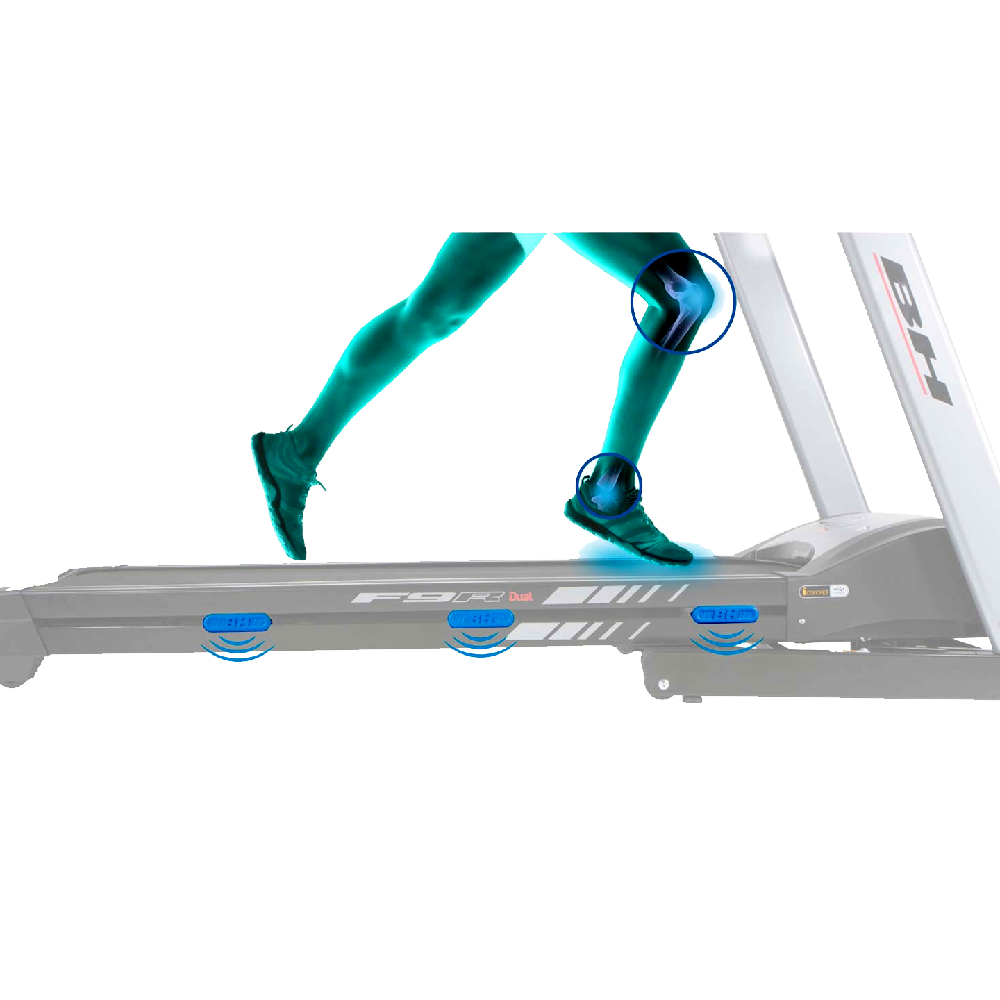 BH Treadmill G6520 N F9R-DUL